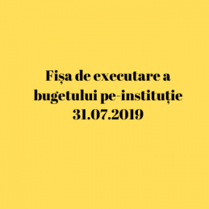 Fișa de executare a bugetului pe-instituție 31.07.2019